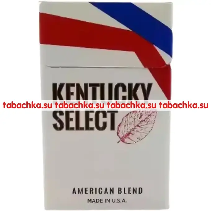 Сигареты Kentucky Select
